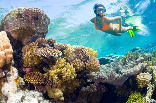 Hol Chan Marine Reserve