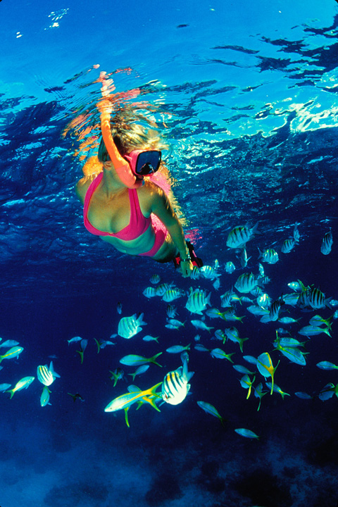 Snorkeling In The Lagoon